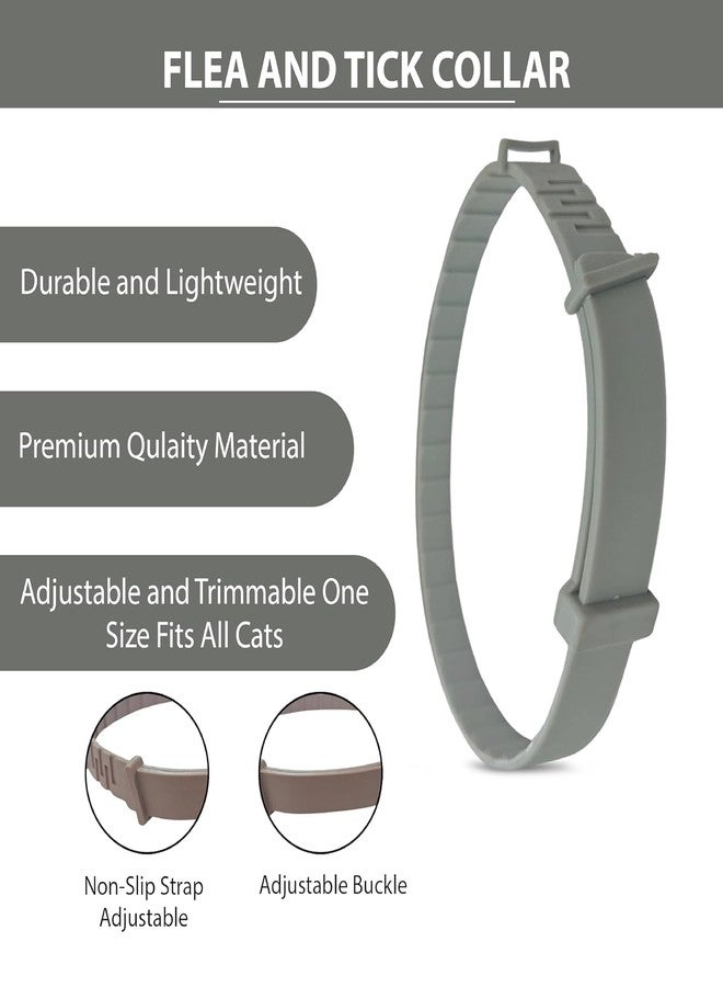 CRAZYABBS Flea and Tick Collar - 8 Month Protection Adjustable Waterproof Collar for Dog Puppy Kitten Cats, Natural & Safe Efficiently Repell Locust Lice of Pets - Image 2